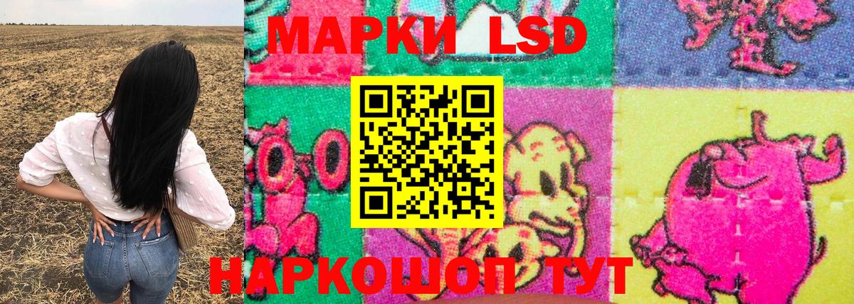 Наркотические марки 1,5мг  Наркотические марки 1,5мг  Марки 25I-NBOMe  Вход с VPN  Долгопрудный 
