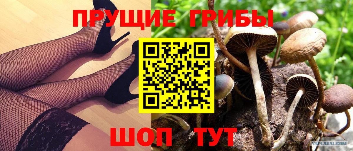 Галлюциногенные грибы ЛСД  Вход с VPN  наркота  Псилоцибиновые грибы мицелий  Долгопрудный 