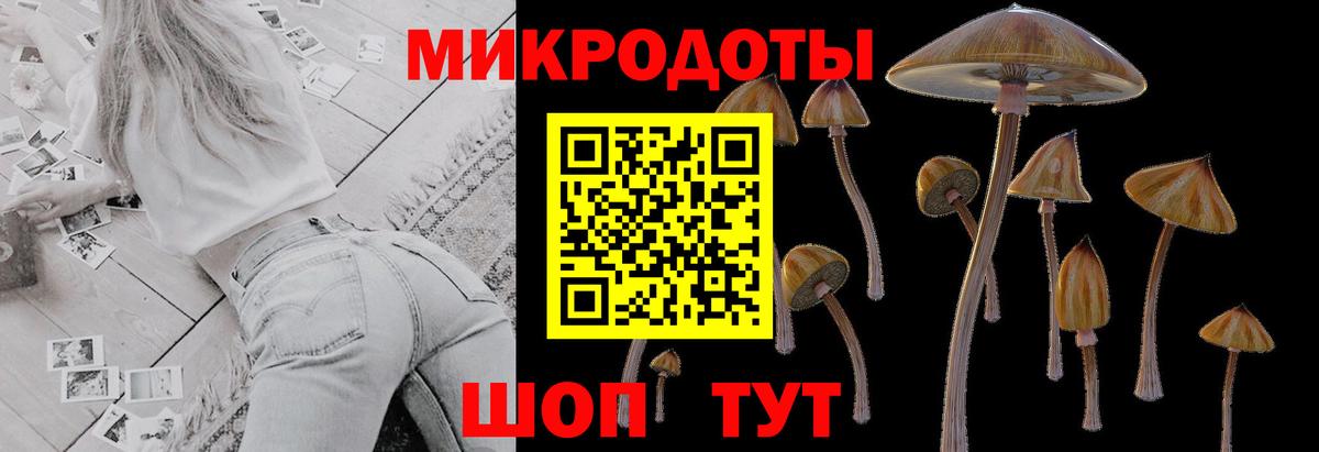 Псилоцибиновые грибы GOLDEN TEACHER Долгопрудный